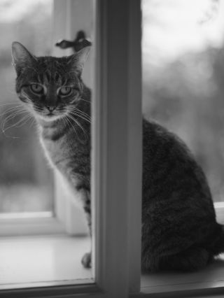 Už teď se mi stýská….🫠 Ale když se Ti stýská…víš, že miluješ. #rodina #domov #laska