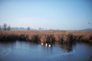 Díky Ti tam hore, za tu (ne)obyčajnú prírodu, čo nás obklopuje. Za to ticho. Šum. Vôňu. Za pokoj, čo dávaš…zas a znova. A...
